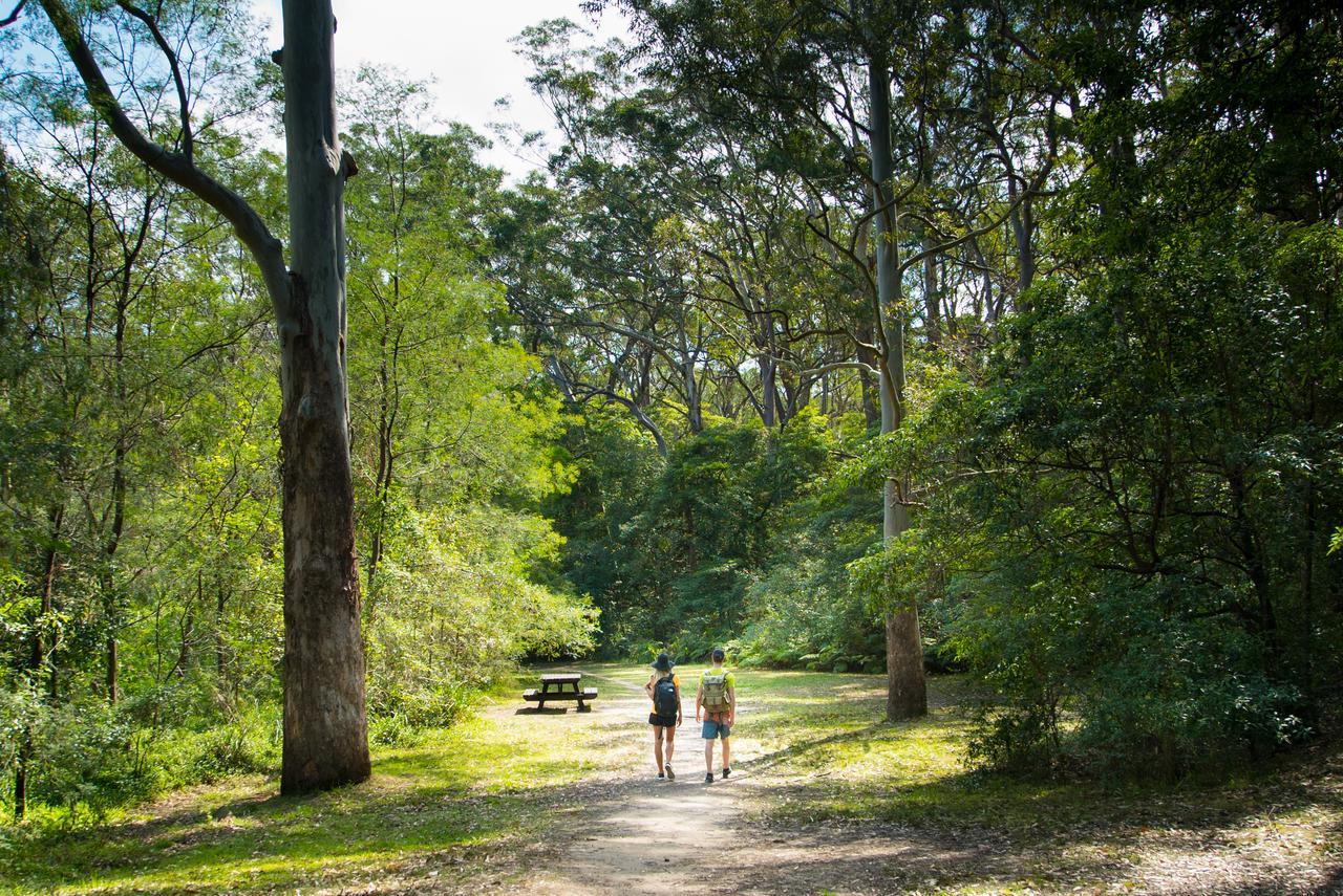 Discovery Parks - Lane Cove Sydney Zewnętrze zdjęcie